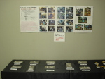 DSC02160.JPG